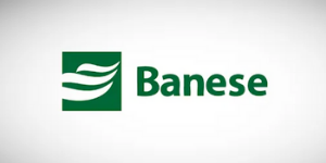 Banese Card Fatura – 2 Via, Parcelamento, Fatura Detalhada