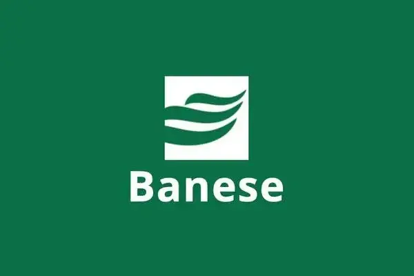 Cartão Banese Card Elo Nanquim Internacional: Benefícios e Vantagens