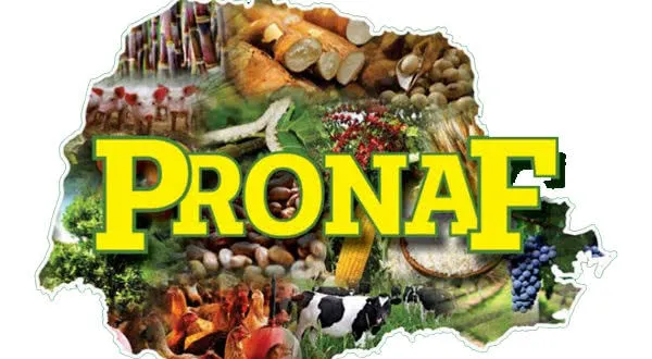 PRONAF: O que é? Como funciona? Saiba aqui!