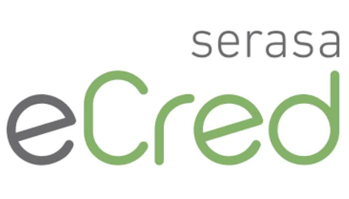 Solicitar empréstimo Serasa eCred – Como pedir empréstimo online