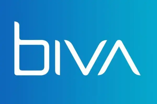 Empréstimo Biva - Saiba como funciona e seus benefícios