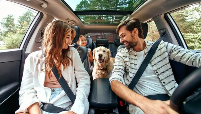 How to Get the Best Quote from American Family Car Insurance