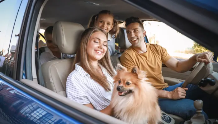 Aviva Canada Car Insurance Review: Is It Right for You?