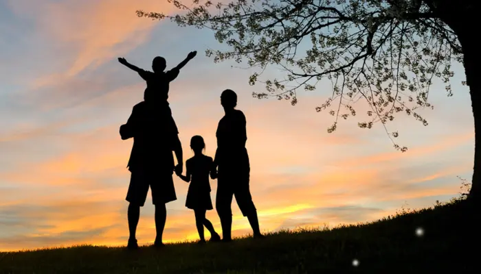 MetLife Vida: Guia Completo para Contratar o Seu Seguro de Vida