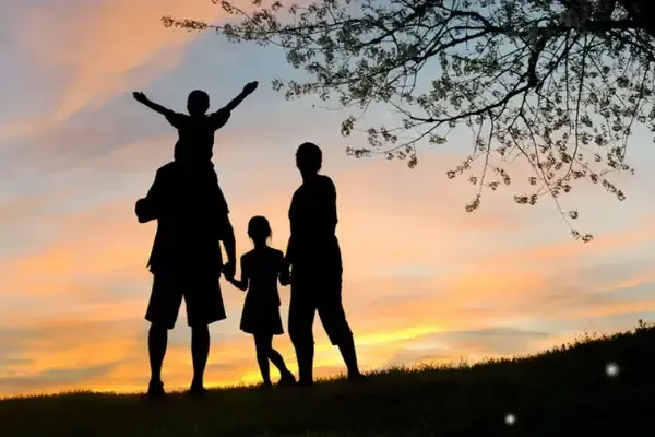 MetLife Vida: Guia Completo para Contratar o Seu Seguro de Vida