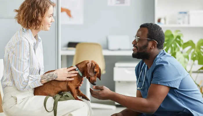 Embrace Pet Insurance: Is It the Best Option for Your Pet’s Health?