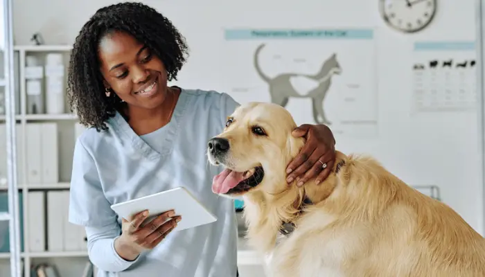 Is Figo Pet Insurance Right for You? Key Features and Benefits